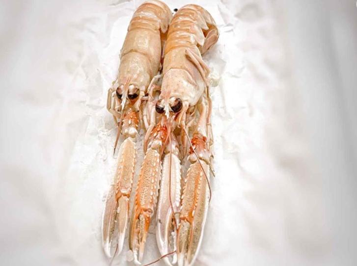Ristorante Hotel Lucia - 100 Mt Dal Mare Giulianova Eksteriør bilde
